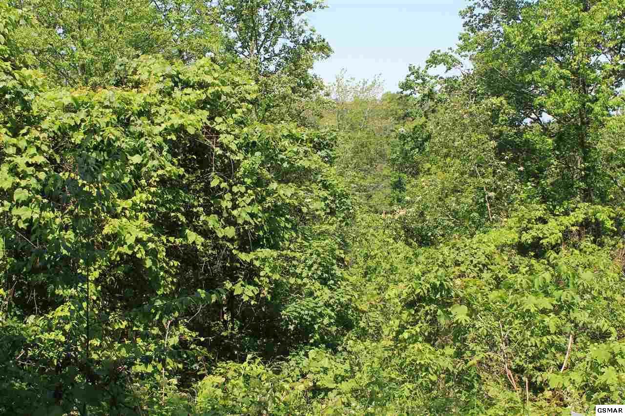 Lot 4 Stans Rd - Photo 1
