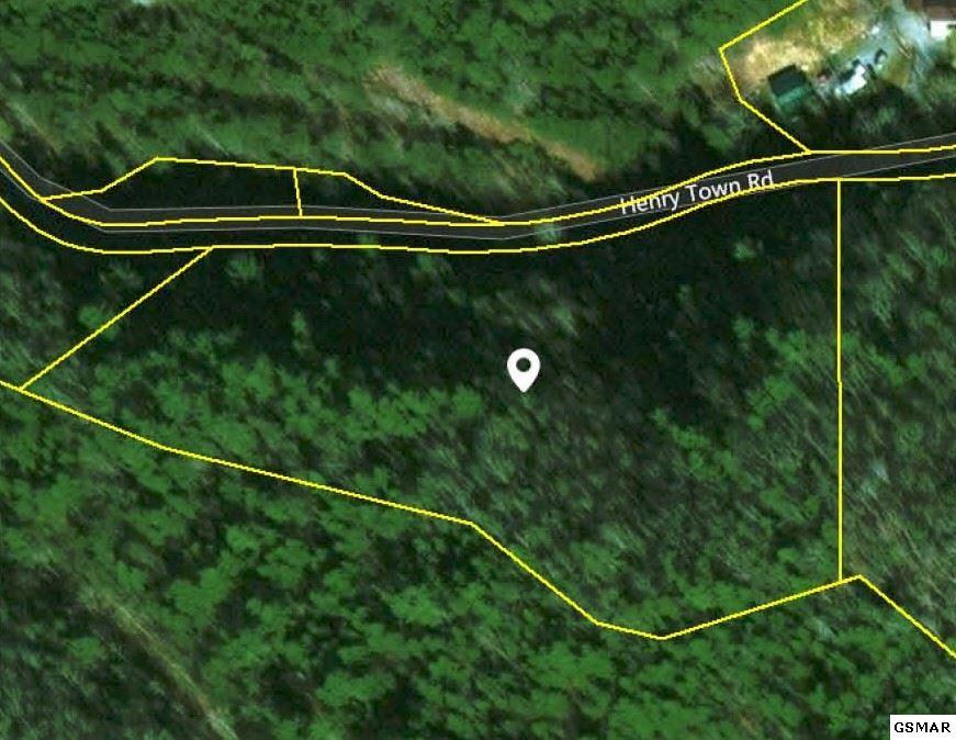 Lot 42 Sawmill Branch Dr - Photo 1