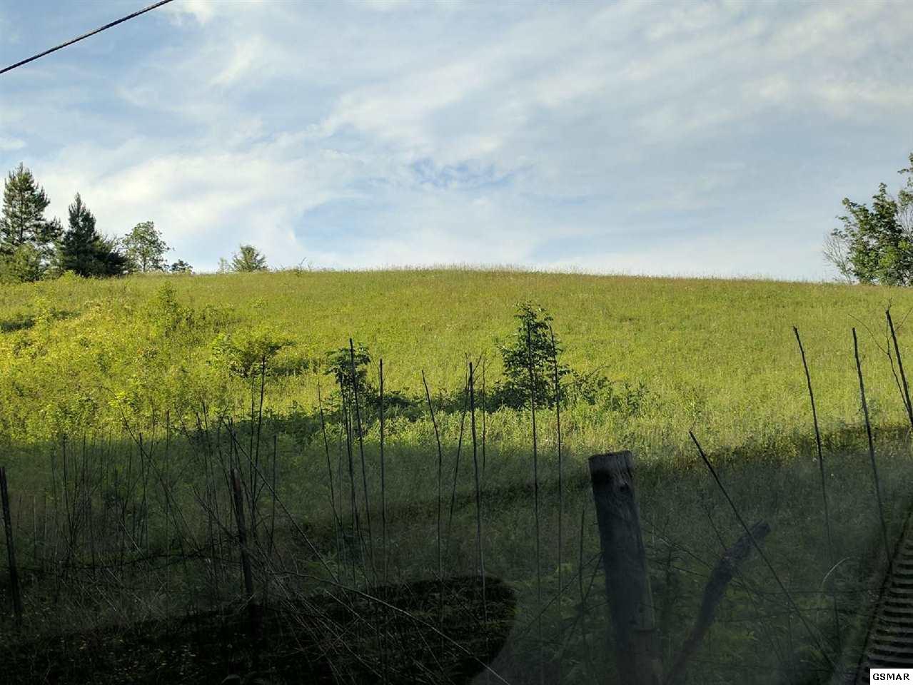 Lot 2a2b Mccarter Hollow Rd - Photo 1