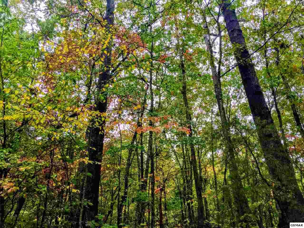Lot 12 Mountain Drive - Photo 1