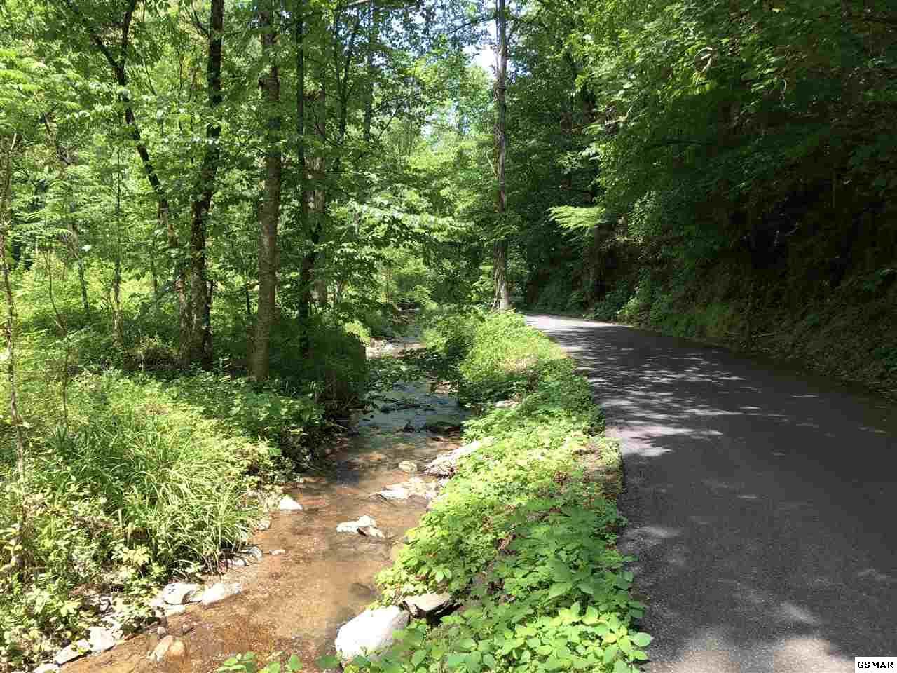 Lower Powdermill Rd. - Photo 1
