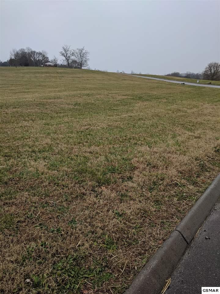 1916 River Mist Circle - Photo 1