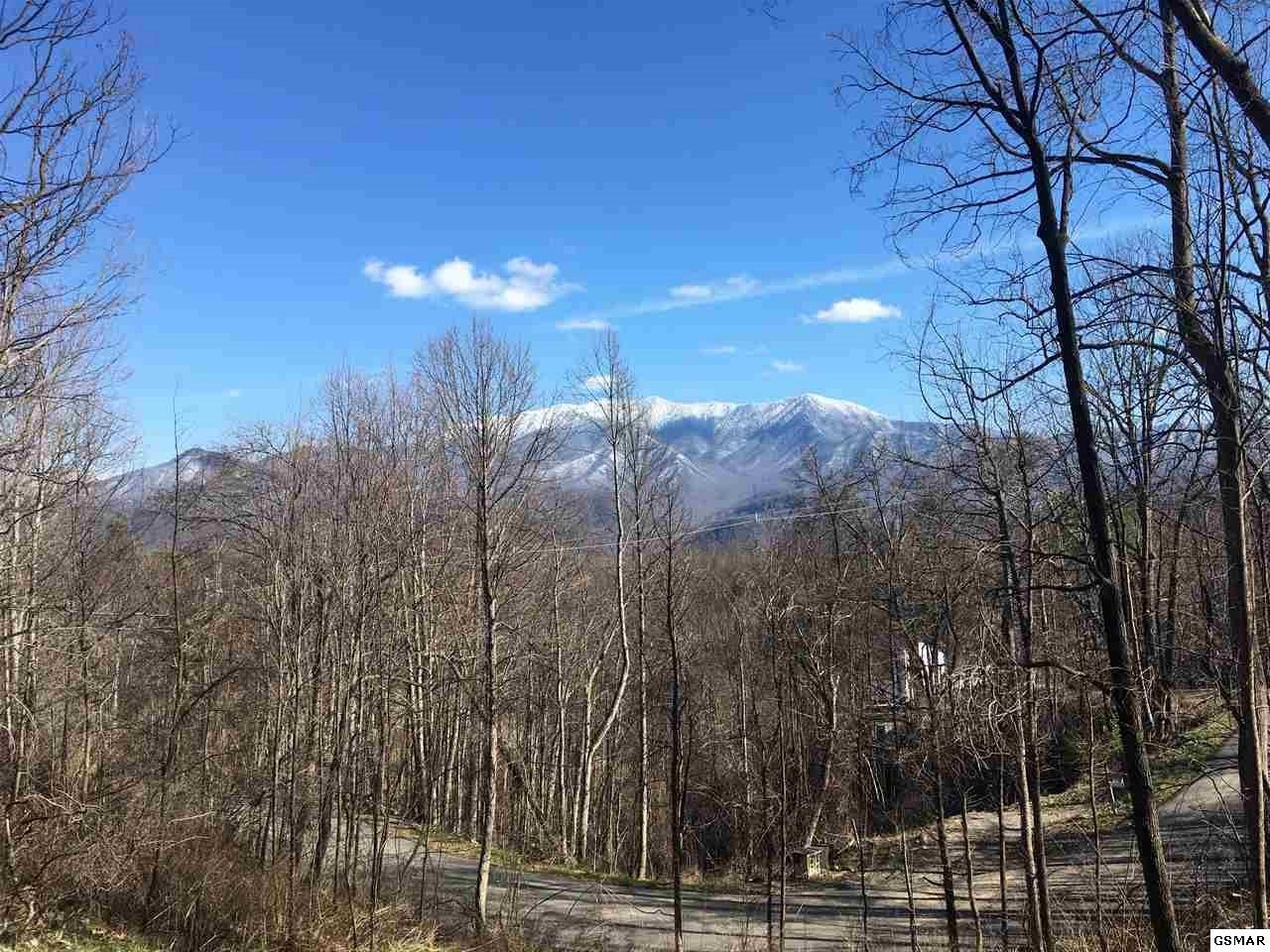 981 Wiley Oakley Dr - Photo 1