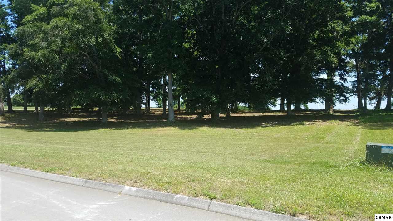 Lot 113 Wild Pear Trail - Photo 1