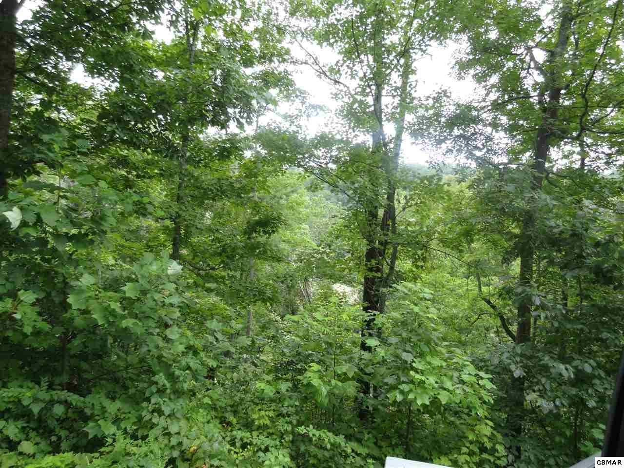 Lot 30 Coopers Hawk Way - Photo 1