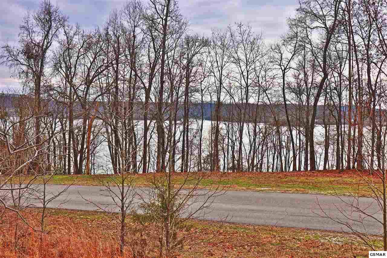 Lot 205 E Shore Dr - Photo 1