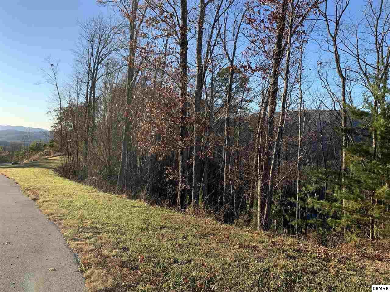 5016 Long Rifle Road - Photo 1