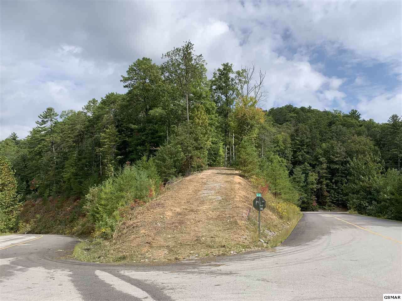 5254 Long Rifle Rd - Photo 1
