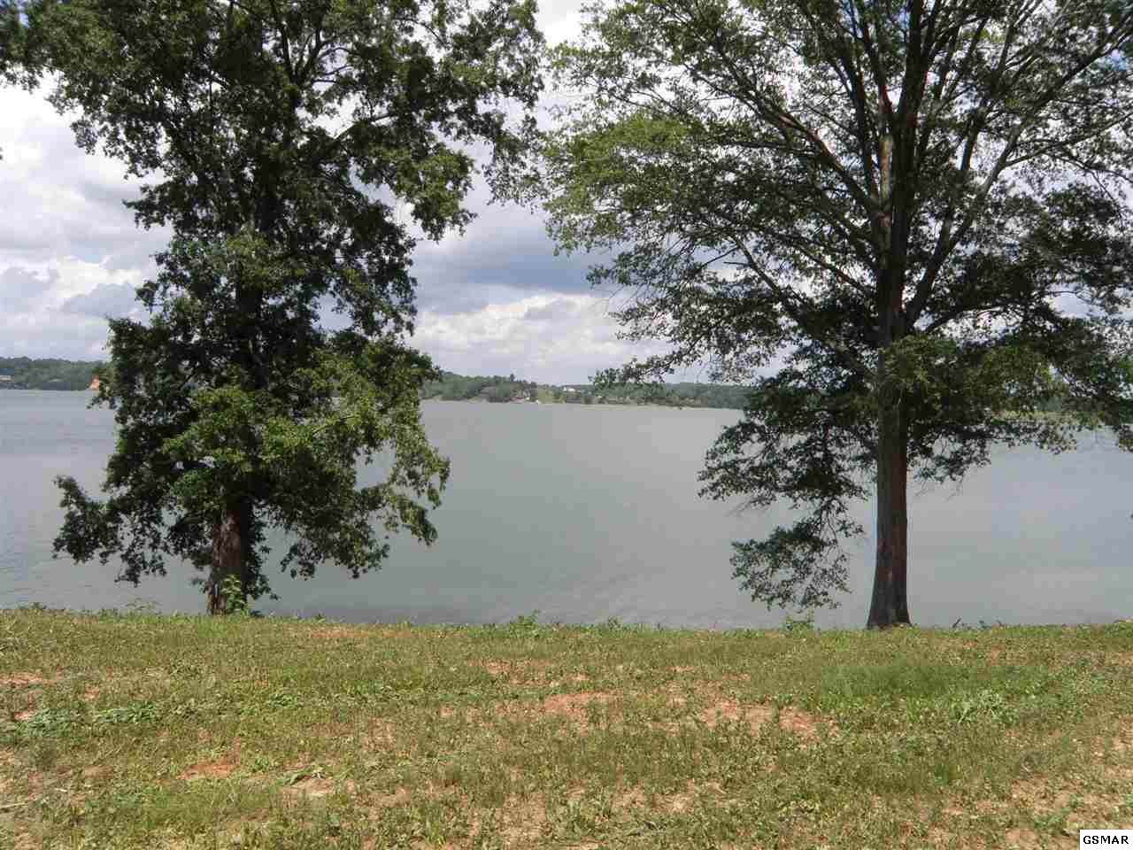 Water View Ln - Photo 1