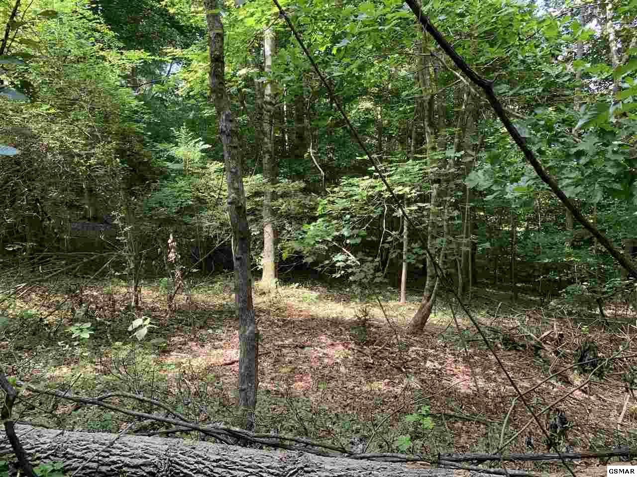 Lot 31 Beechtop Ln - Photo 1