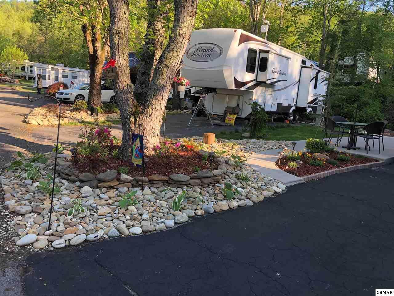 4229 Parkway - Photo 1