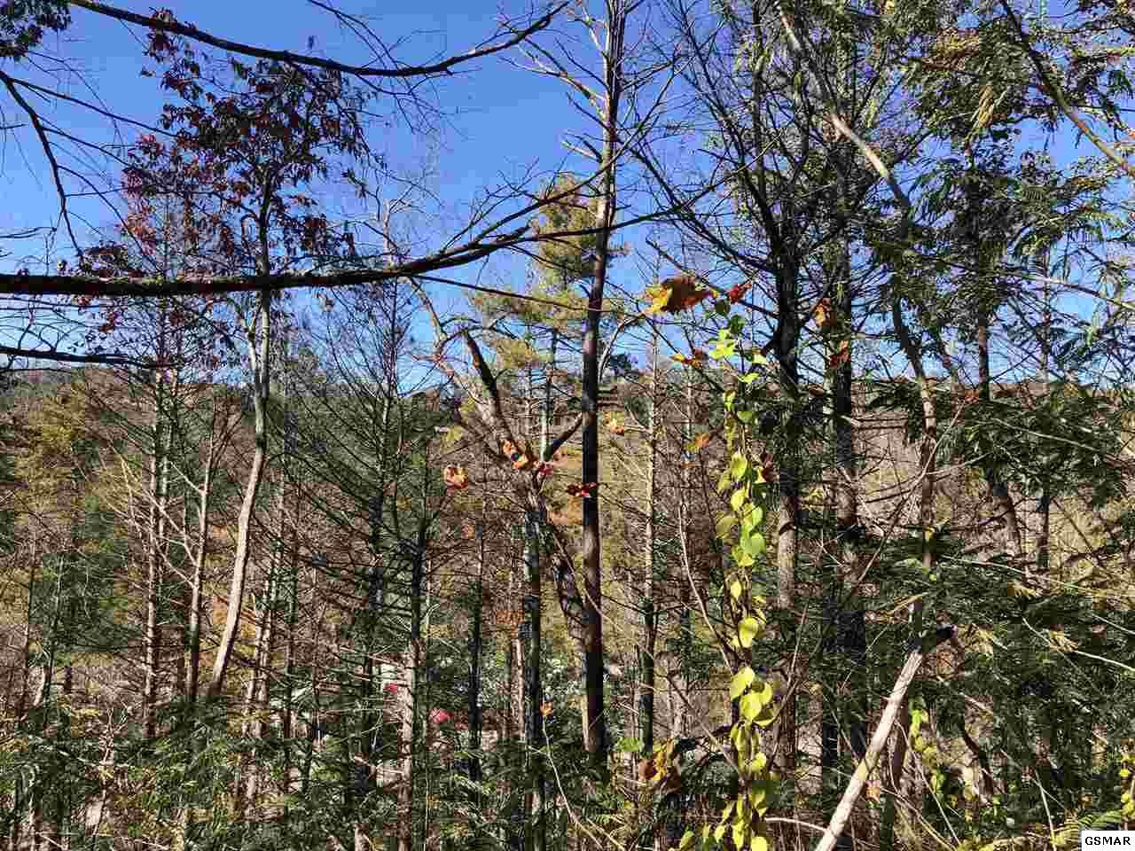East Parkway - Photo 1