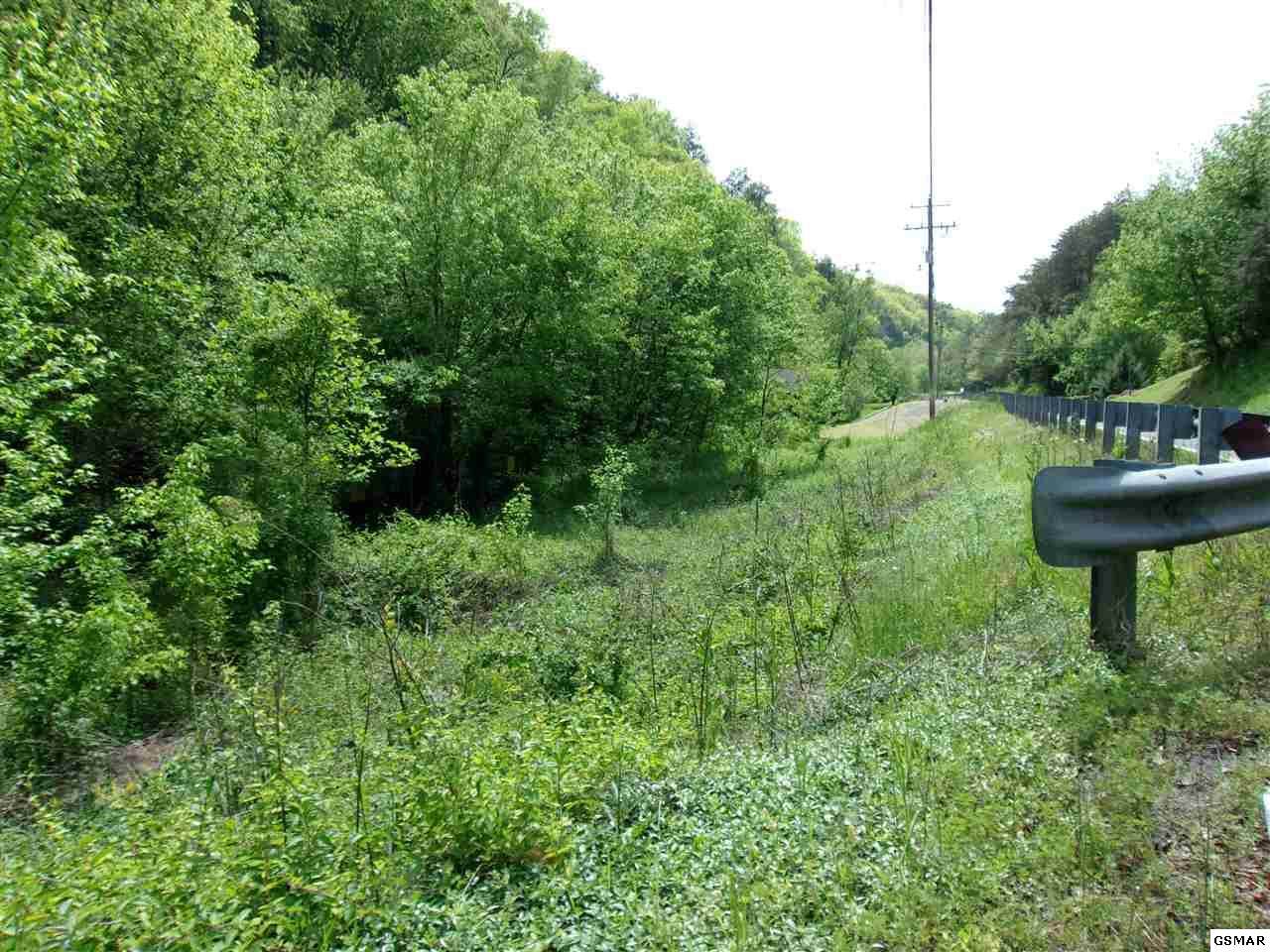 1812 Upper Middle Creek Rd - Photo 1