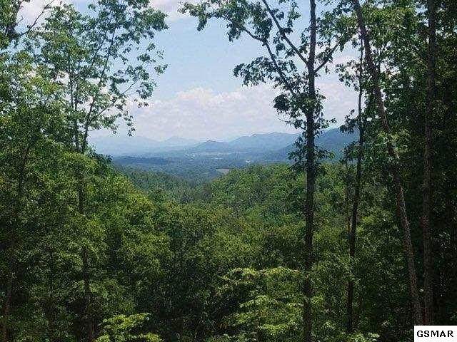 Lot 189 Smoky Bluff Trl - Photo 1