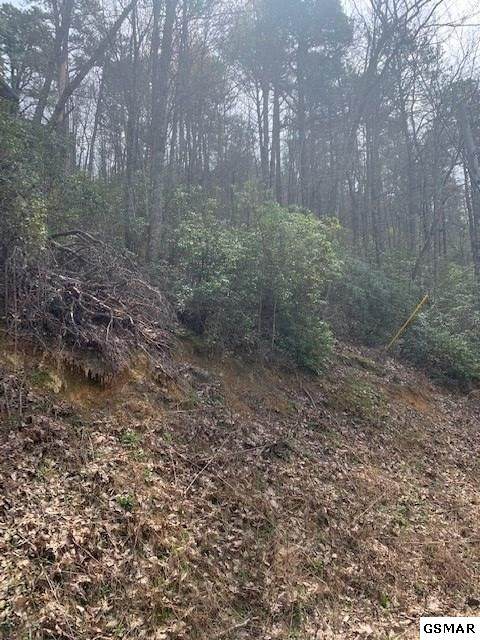 Lot 2 High Ridge Way - Photo 1