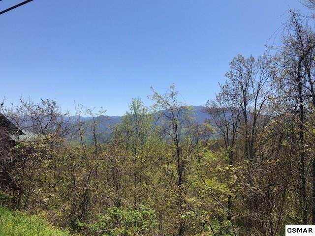 Lot # 25 Ski View Drive - Photo 1
