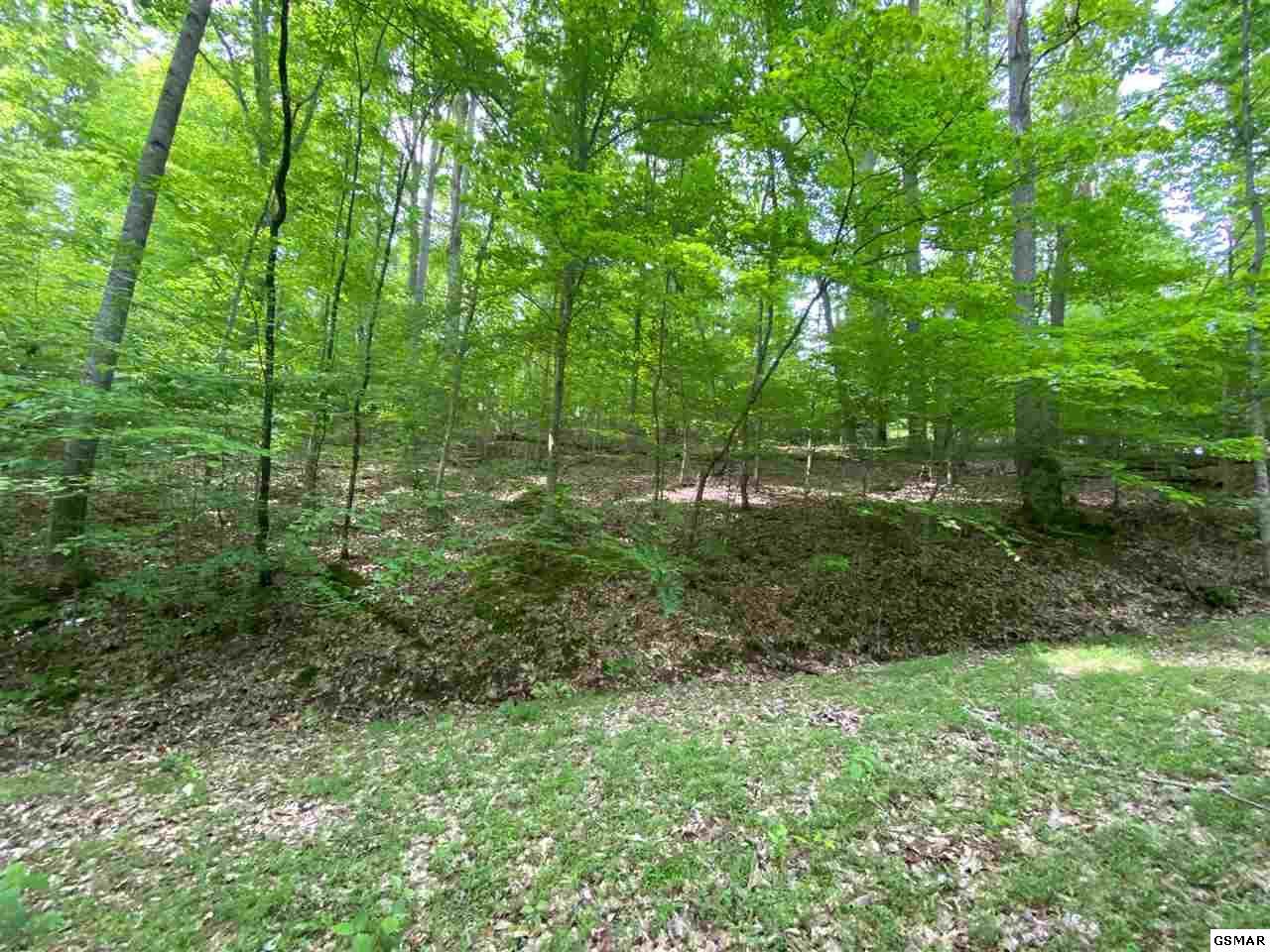 Lot 1436 Shady Hollow - Photo 1 Lot 1436 Shady Hollow - Photo 1