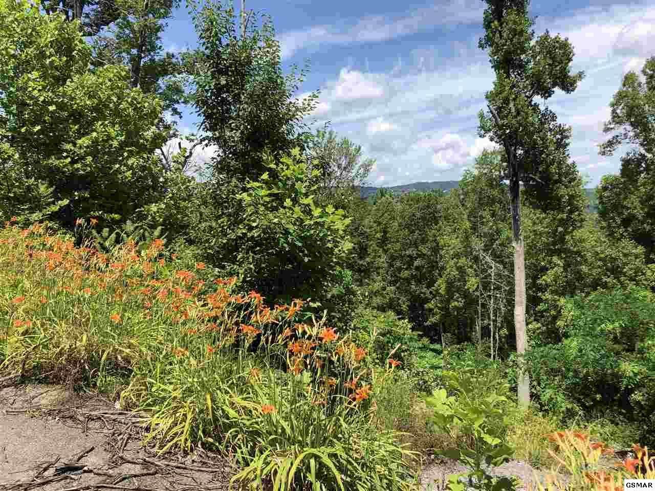 520 Forest Springs Dr - Photo 1