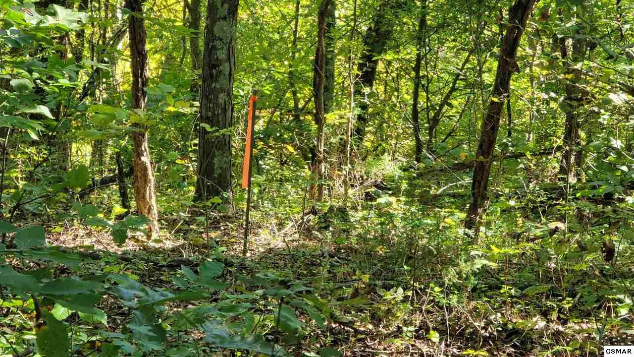 lot 10 Sims Cemetery Rd - Photo 1