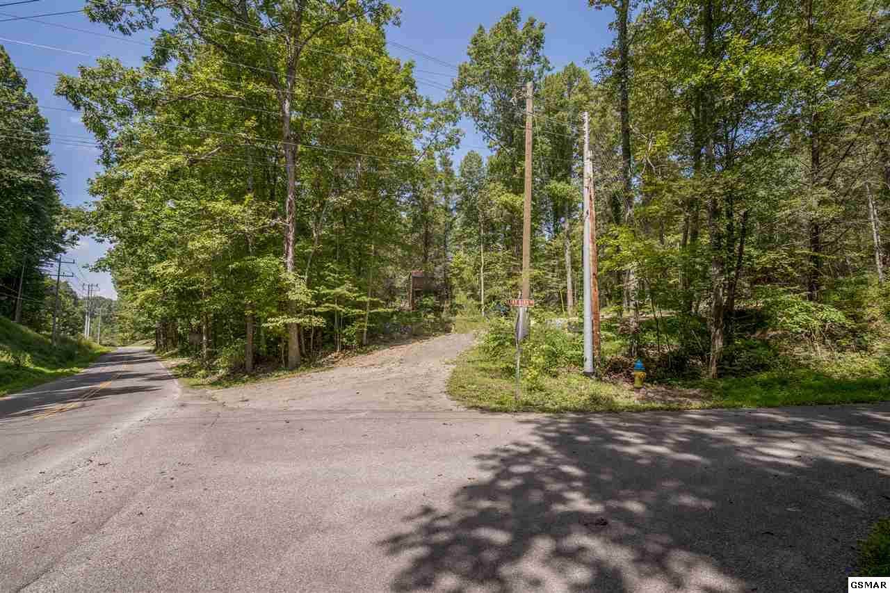 130 Mills Park Road - Photo 1