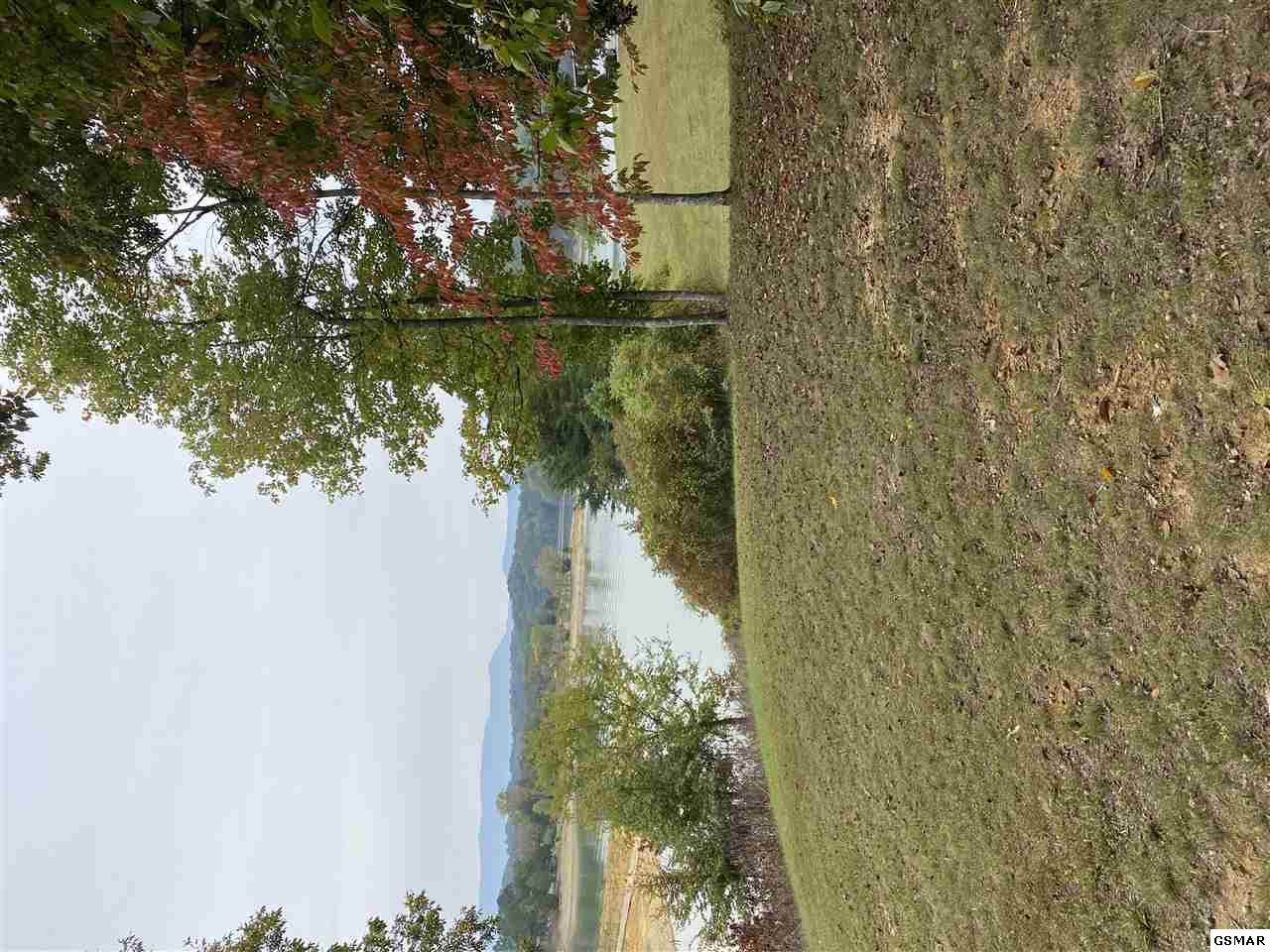 Lot 9 Kimsey Way - Photo 1