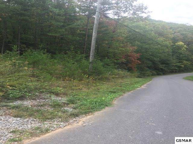Tract 5 Clabo Mountain Ln - Photo 1