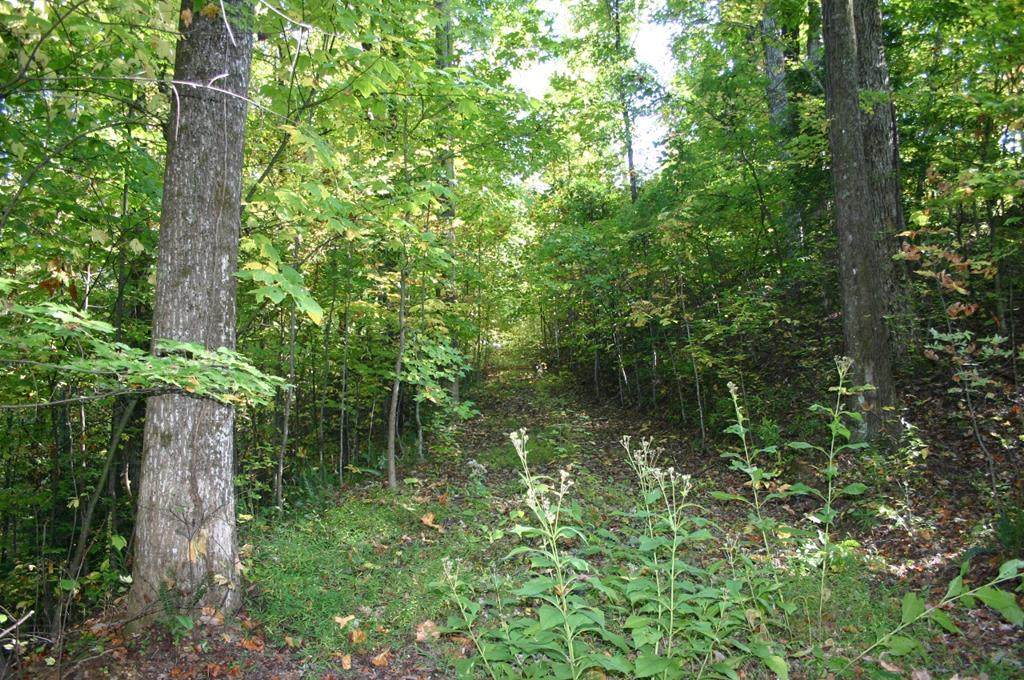 Lot 28 Sonshine Ridge Rd - Photo 1