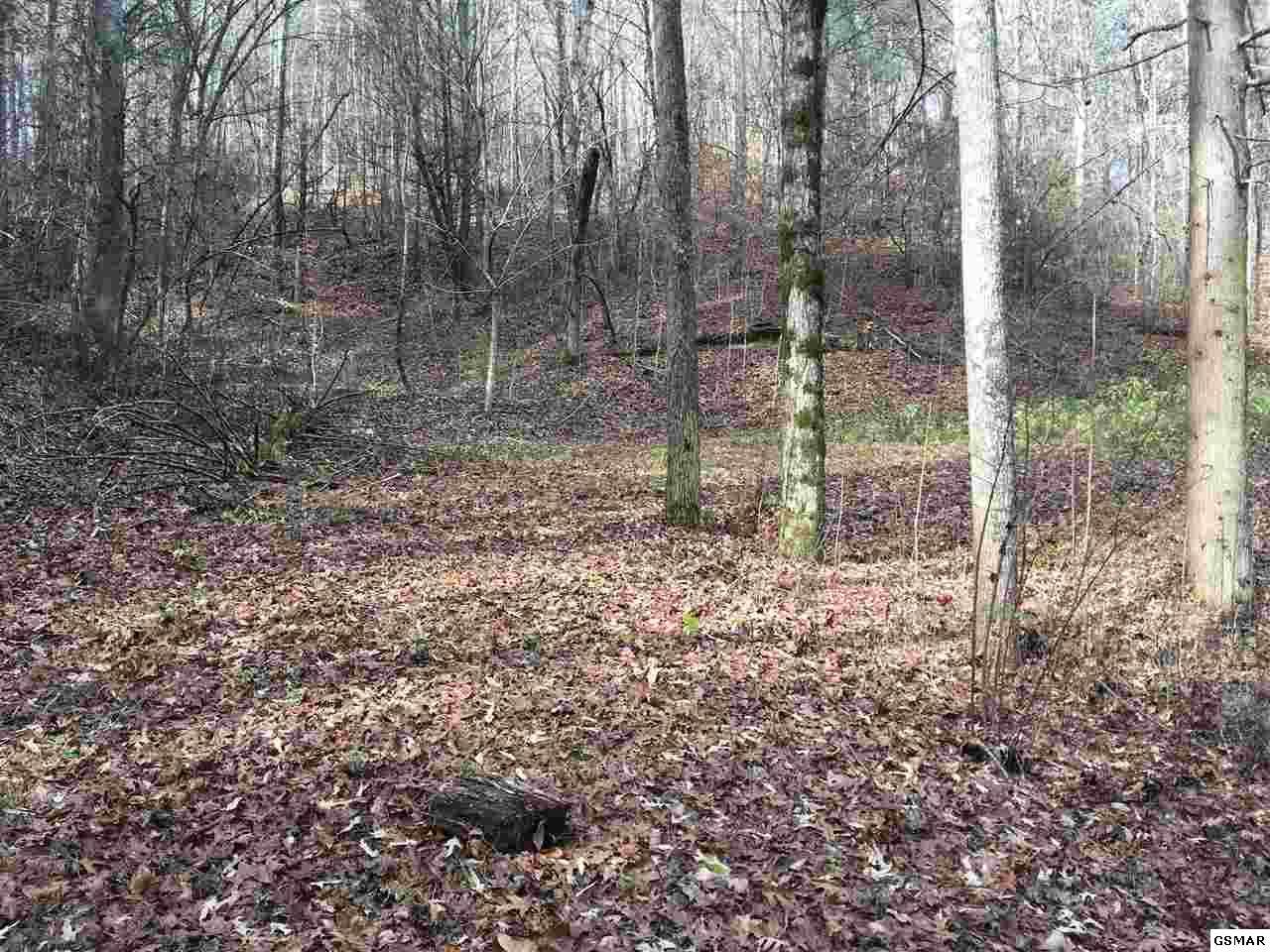 Goose Gap Rd - Photo 1