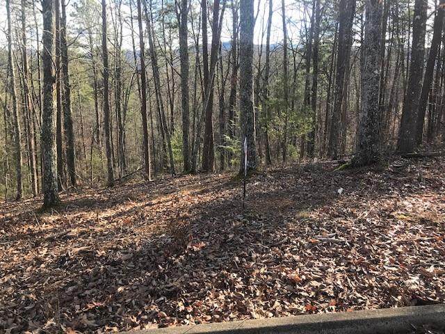 Lot 34 Red Sky Drive - Photo 1