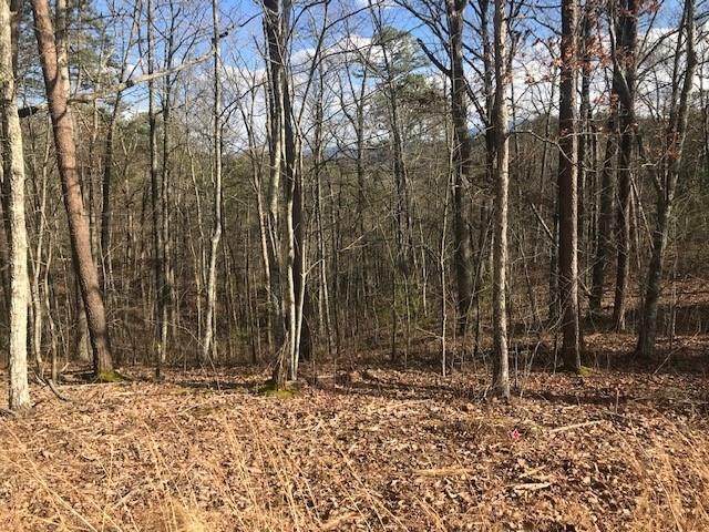 Lot 40 Storm Bringer Drive - Photo 1