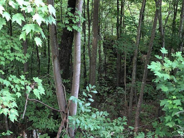 Overholt Trail Lot#10 - Photo 1