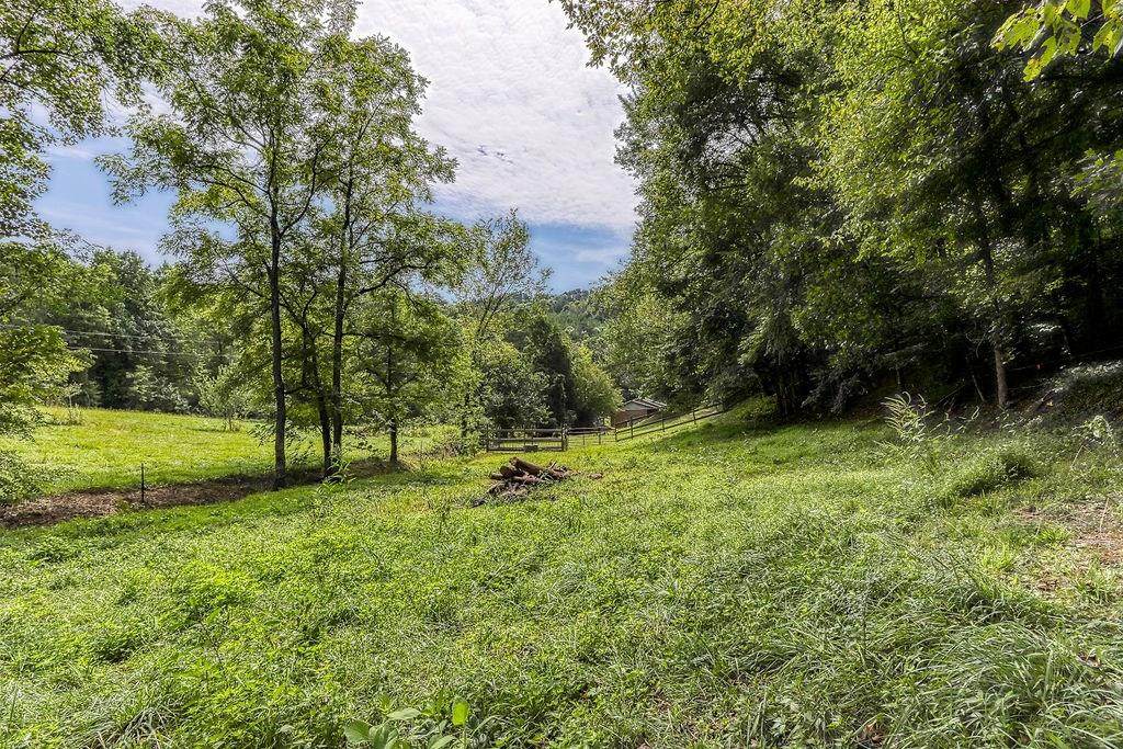 2881 Caughron Mountain Rd - Photo 1