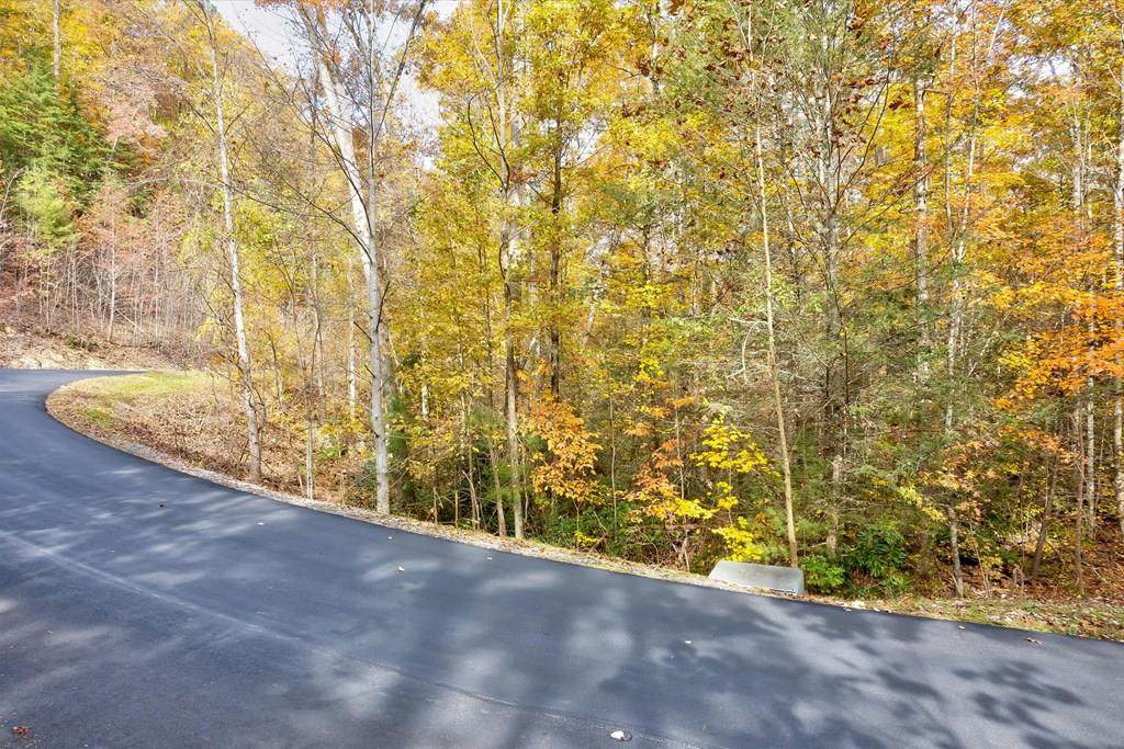 Lot 20 Whetstone - Photo 1