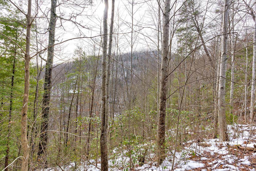 Lot 61 Whetstone Rd - Photo 1