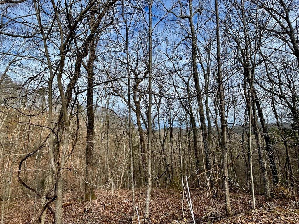 Lot 52 Cloud View Drive - Photo 1