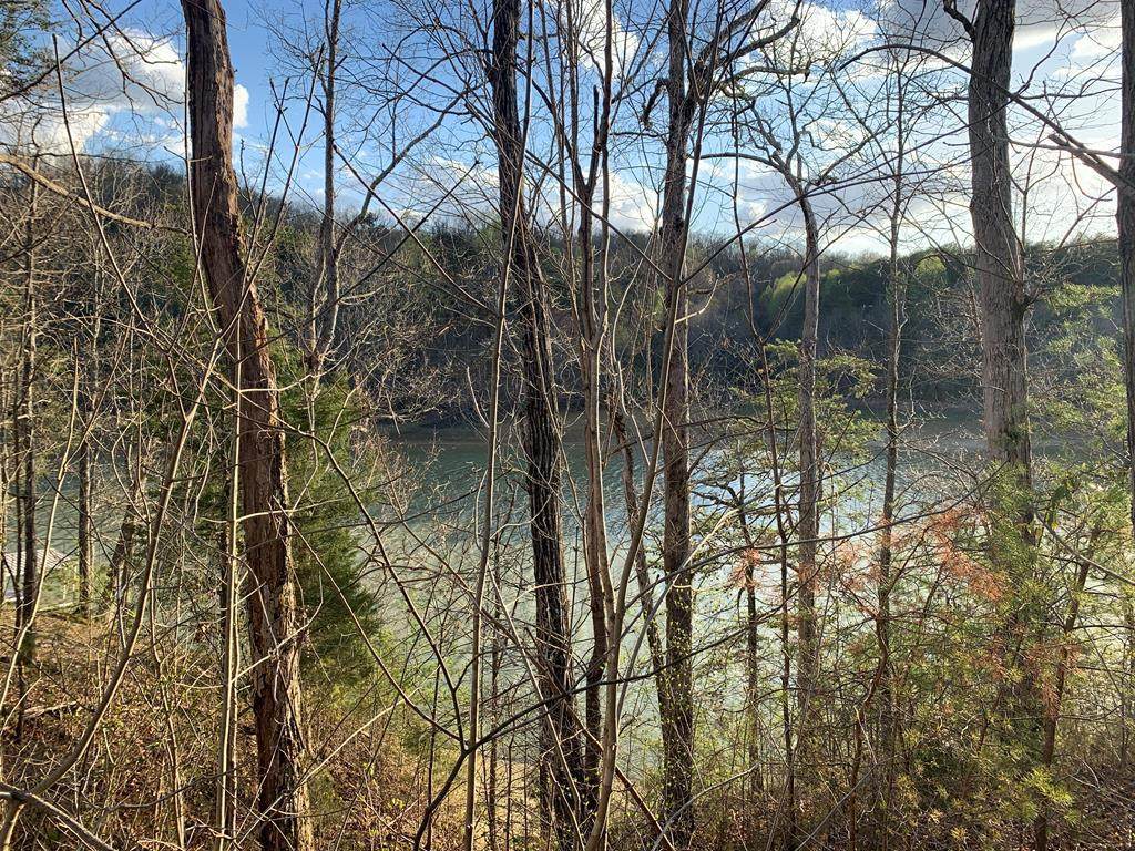 Lot 28 Sanctuary Shores Way - Photo 1