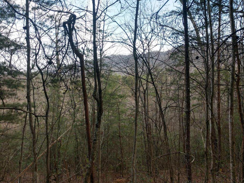 Henry Town Rd - Photo 1