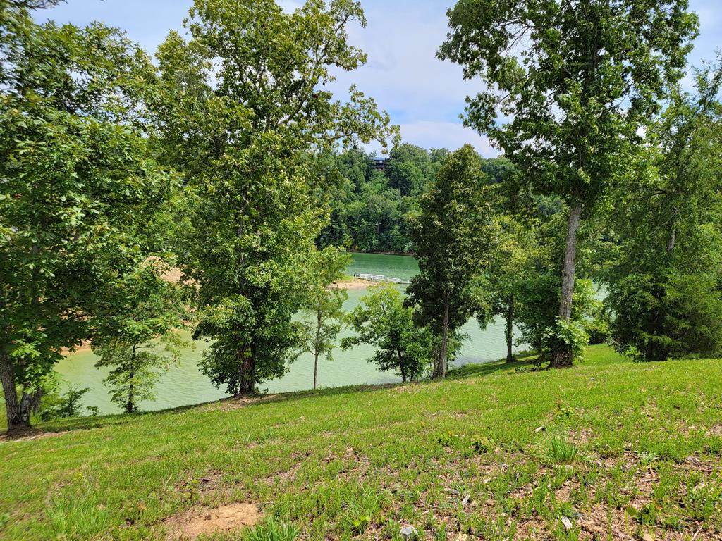 Lot 46 Stone Harbor Dr - Photo 1
