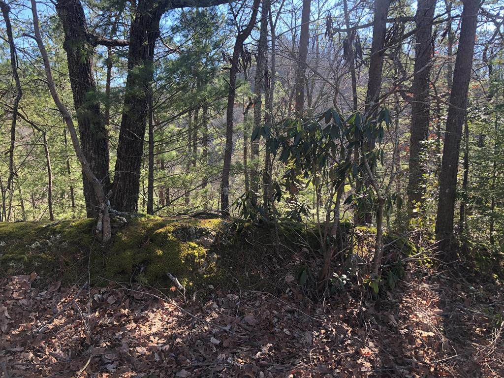Lot 53 Magnolia Place - Photo 1