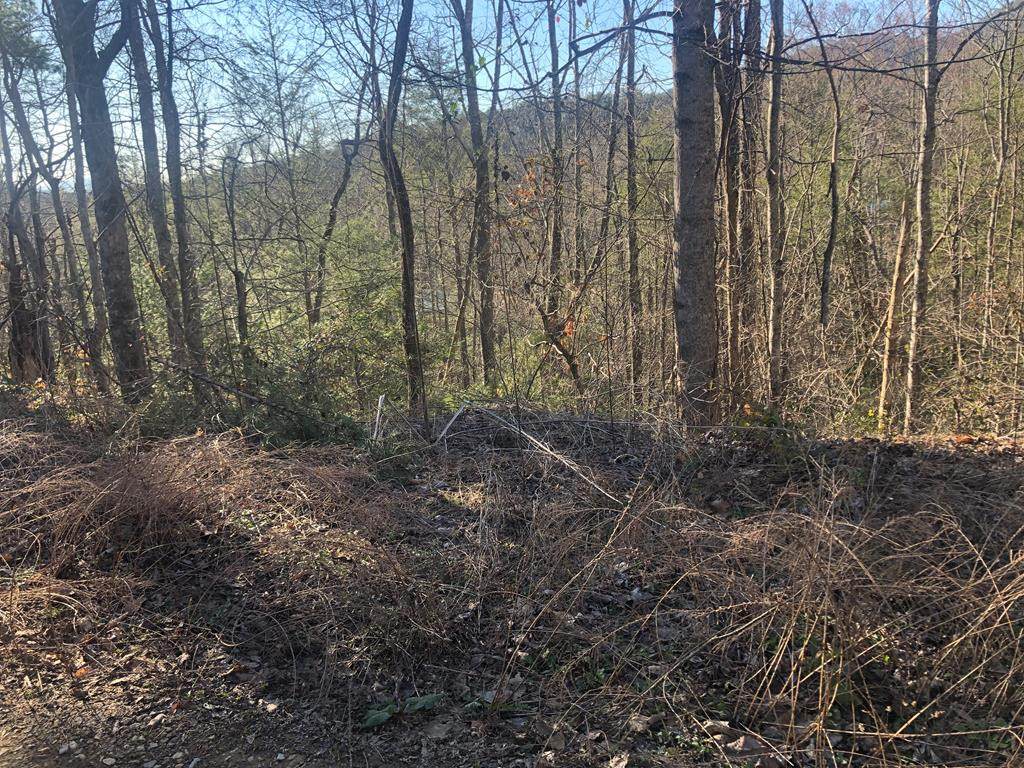 Lot 53 Butternut Lane - Photo 1