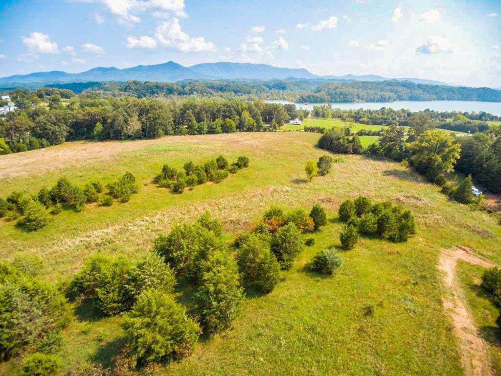 Parcel 46.24 Swannsylvania Rd - Photo 1