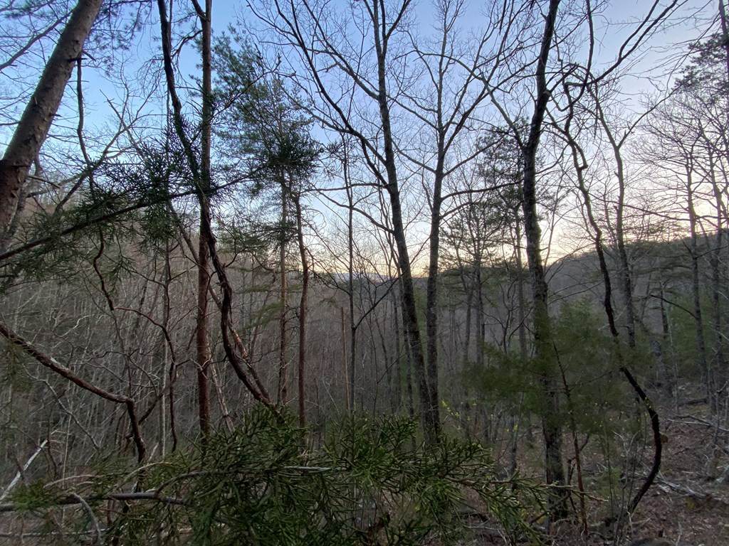 https://bt-photos.global.ssl.fastly.net/gsmar/orig_boomver_2_248714-2.jpg