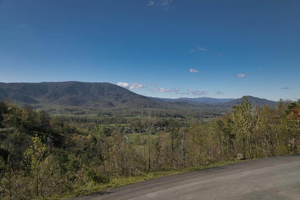 3429 Mtn Tyme Way - Photo 1