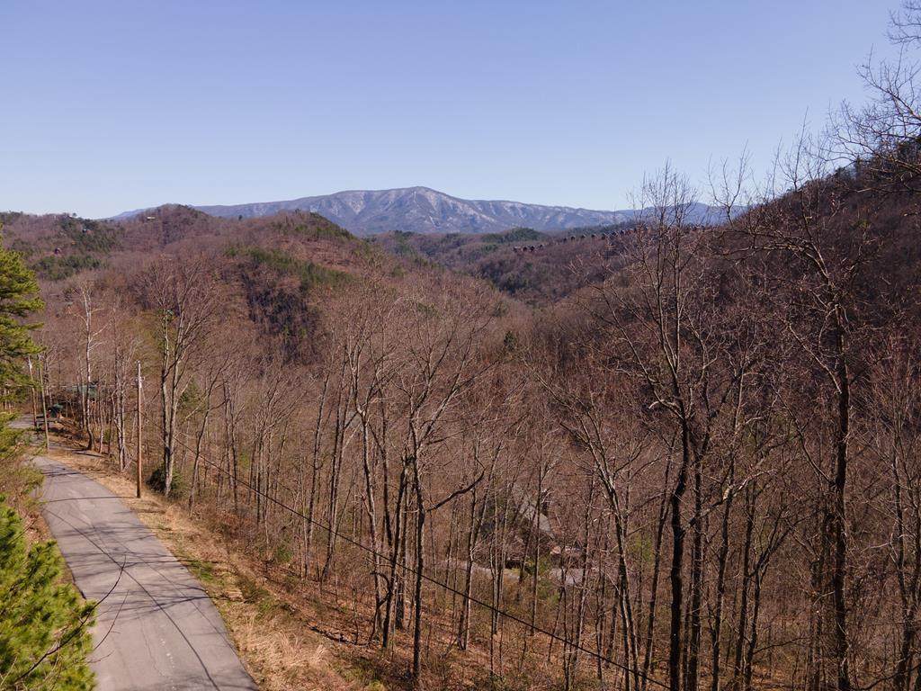Lot 1 Overholt Trail - Photo 1