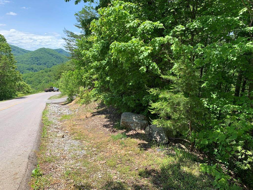 Lot 60E Redtail Road - Photo 1