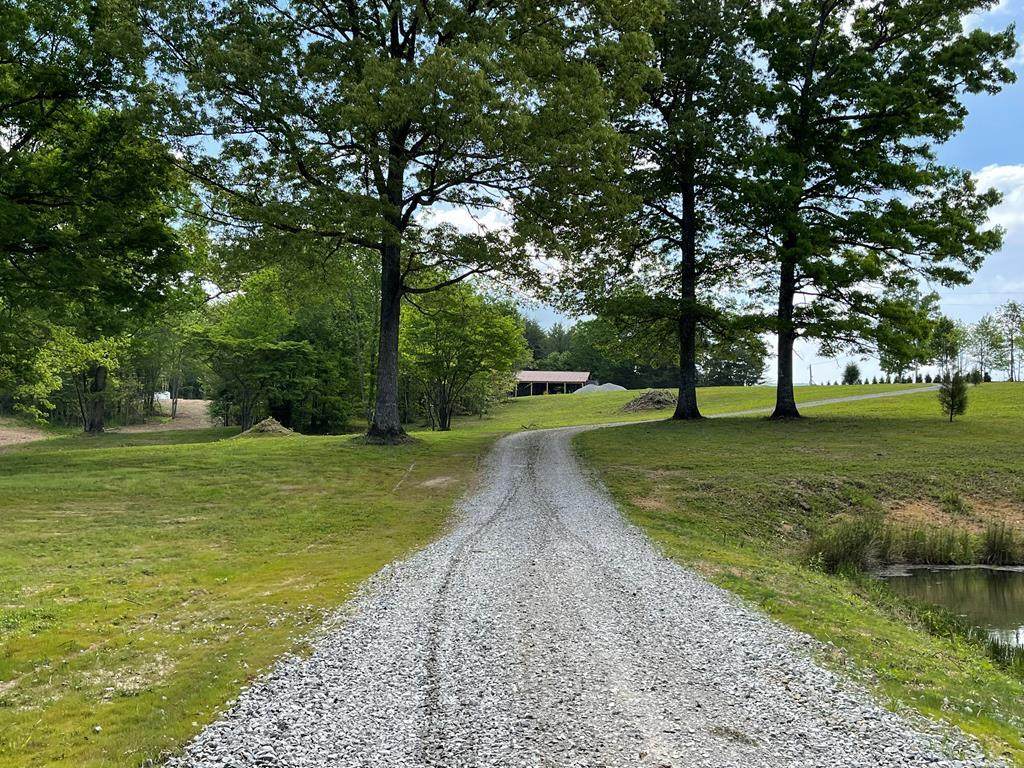 8265 Highway 127 - Photo 1