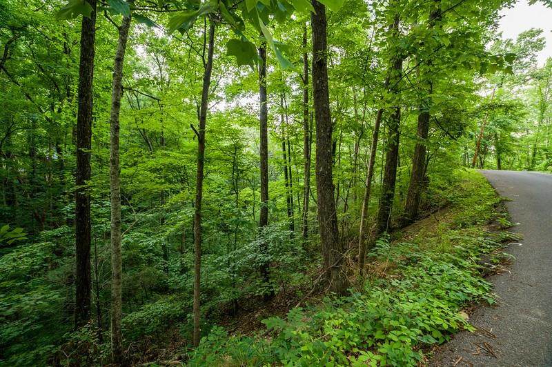 Buena Vista Drive Lot 10 - Photo 1