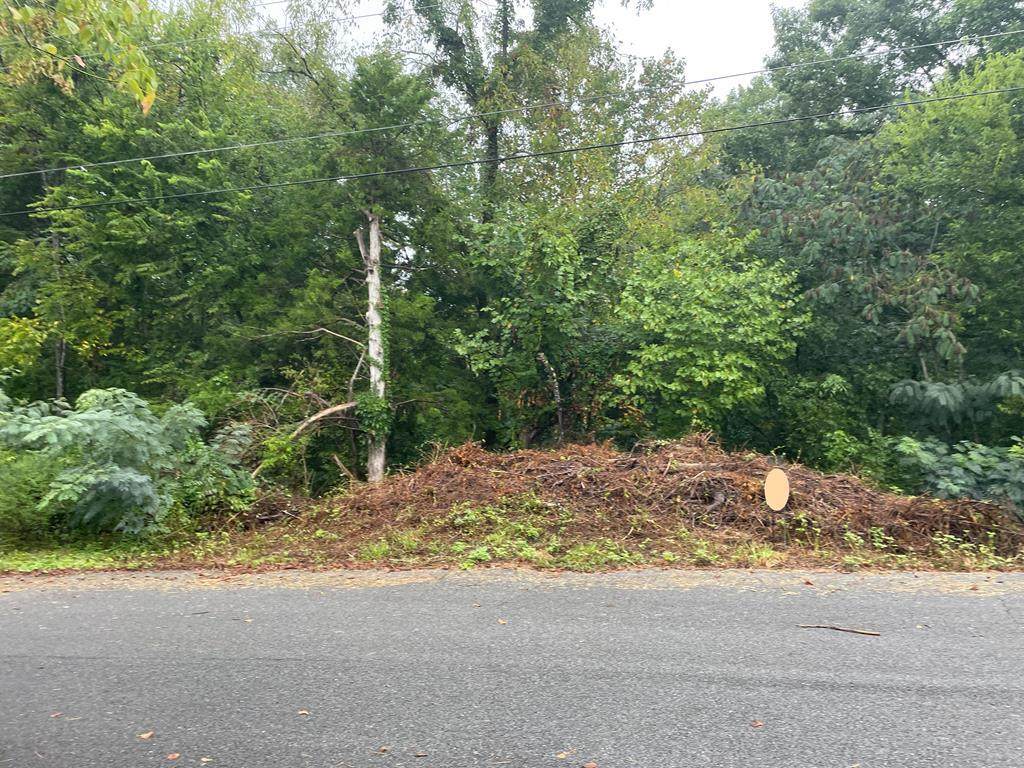 Lot #28 Hummingbird Lane - Photo 1