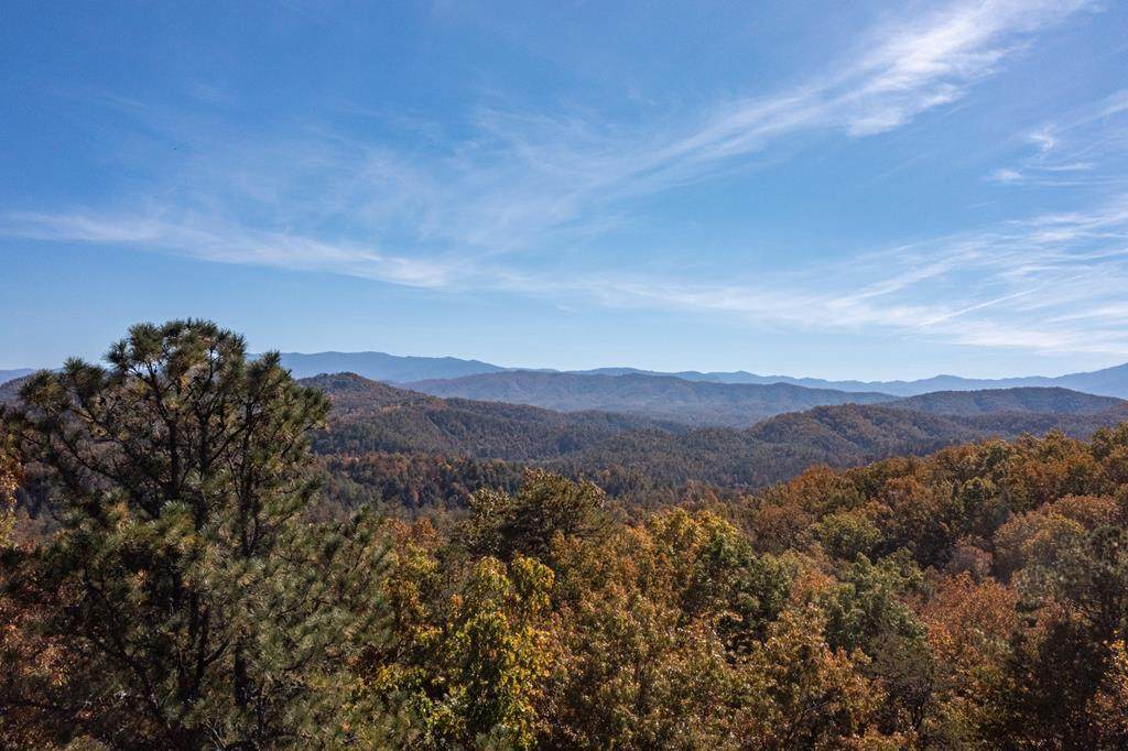 Chinquapin Dr - Photo 1