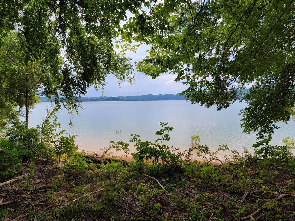 Lot 40 Quiet Cove Way - Photo 1
